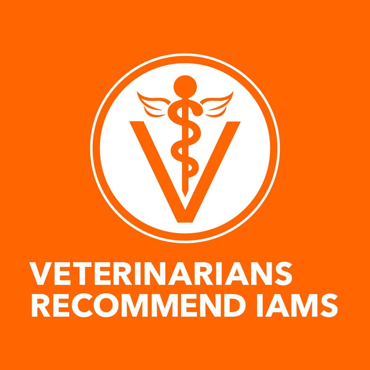 IAMS Perfect Portions Cuts in Gravy Wet Cat Food, Tuna & Salmon, 12 count