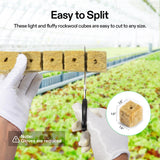 VIVOSUN 1.6" Rockwool Cubes, 4 Sheet of 112 Plugs Stonewool Starter