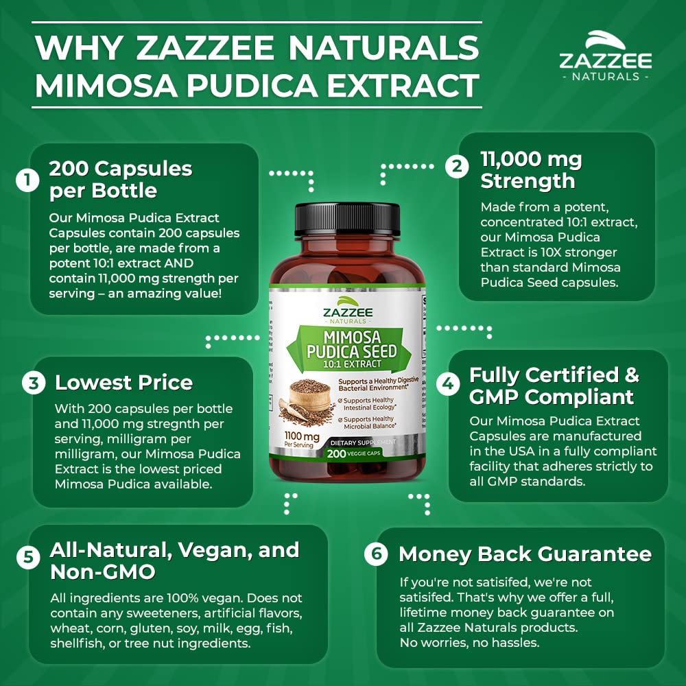 Zazzee Mimosa Pudica Seed 10:1 Extract, 200 Vegan Capsules, 1100 mg, 3+ Month Supply, Potent 10:1 Extract, Non-GMO and All-Natural