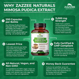 Zazzee Mimosa Pudica Seed 10:1 Extract, 200 Vegan Capsules, 1100 mg, 3+ Month Supply, Potent 10:1 Extract, Non-GMO and All-Natural