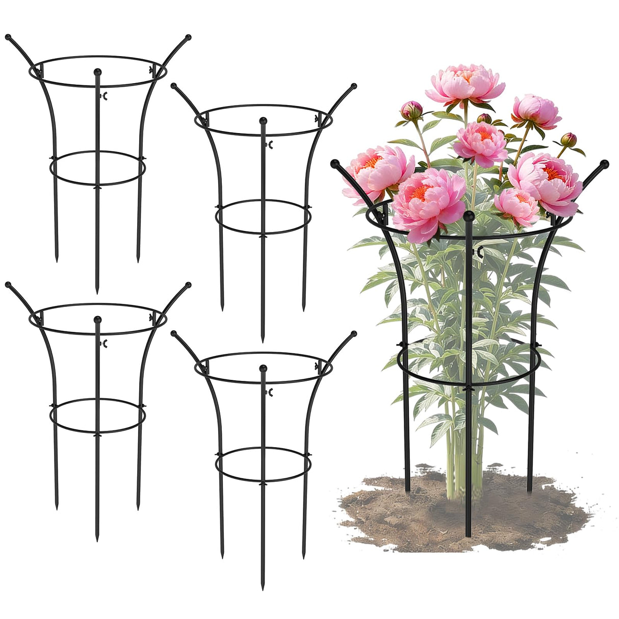 4 Pack Peony Cages and Supports, 12.5"Dx24"H Dual-Ring Metal Plant Supports