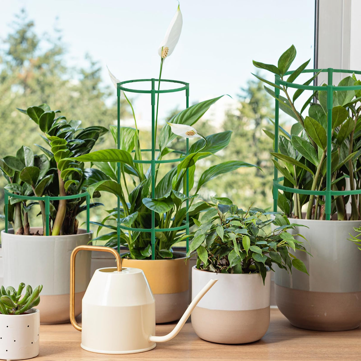 36 Packs Plant Support Stake, Half Round Stackable 3 Tier Garden Flower Support, Plant Stakes for Indoor Outdoor Plants Tomato,Monstera, Peony, Hydrangea, Climbing Plants
