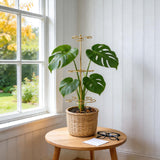 GOOOXIM 24 Inch Plant Stem Support Stakes for Monstera & Climbing Plants