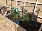 6 Pack 13.8 Inch High Plant Stake,Garden Plant Support,Half-Round Peony Cage Plant Ring Hoop