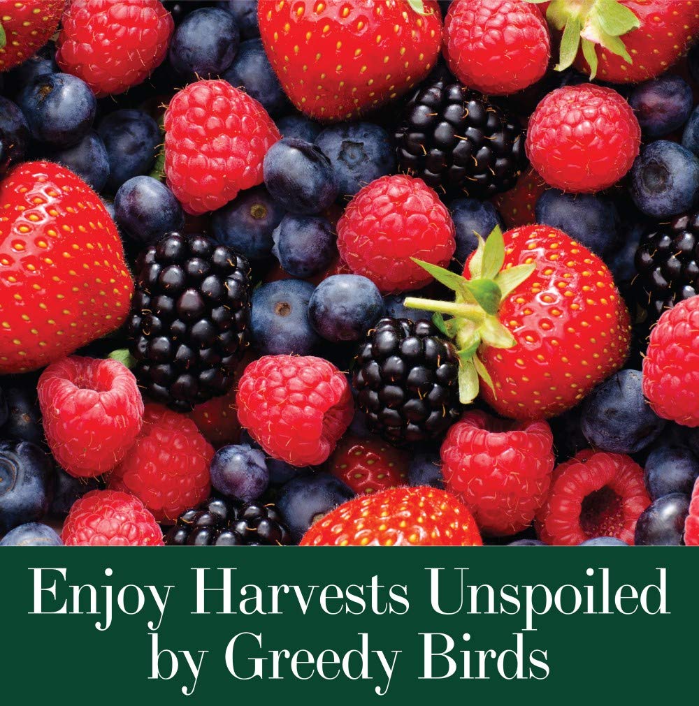Dalen Bird-X Protective Mesh Netting for Fruit Trees & Berries - 28 x 28 ft