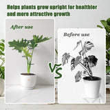 Indoor Plant Trellis Support, 4PCS Durable Metal in & Outdoor Trellis for Climbing Plants 15.7 Inch Metal Garden Stakes Plant Stem Holder Support for Potted Plants, Monstera, Flowers & Herbs (4PCS)