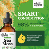 Wild & Organic Sea Moss Drops - Overall Support with Irish Seamoss and Bladderwrack - Multimineral Chondrus Crispus Tincture - Vegan, Sugar & Alcohol-Free Liquid Supplement - 4 fl oz