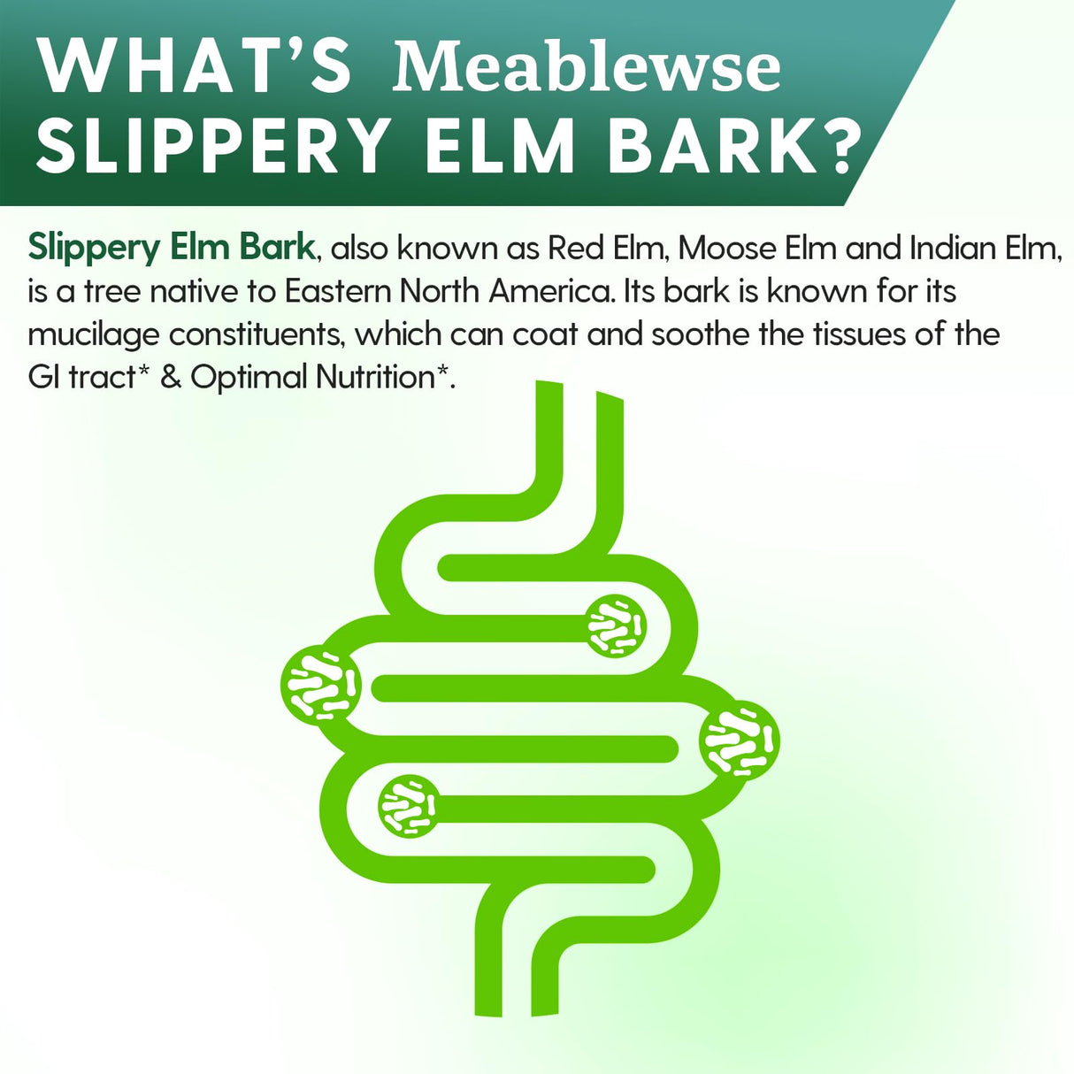 Slippery Elm, with Superior Inner Bark Source, Slippery Elm Bark Natural Herb for Soothing Throat* & Digestive, Diarrhea, Gut Health, 100% Pure & Vegan, Non-GMO, Made in The USA, 1 lb (349 Serving)