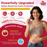 2000mg Liposomal Berberine Supplement Gummies | High Potency Berberine HCL Activates AMPK with Ceylon Cinnamon | Dual Gut–Glucose Innovation | Advanced Absorption | Zero Sugar Mixed-Berry | 120 Count