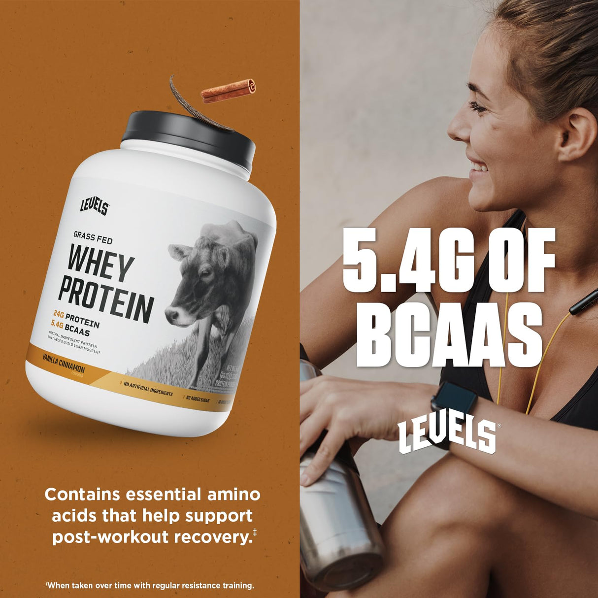 Levels Grass Fed Whey Protein Powder, No Artificials, 24G of Protein, Vanilla Cinnamon, 5LB