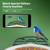 HARYMOR Smart Bird Feeder with Camera - AI Identify Birds Species, Solar Powered Bird House with Cam, 2L Large Capacity, 2K HD Video Live Stream, Instant Arrival Alerts - Green