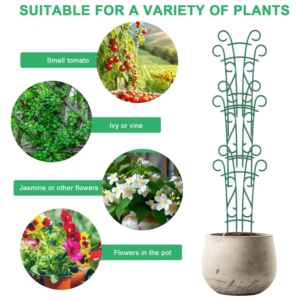 Qaobo Plant Trellis for Potted Plants 12 Pack Stackable Indoor Outdoor Climbing Houseplant Support with Garden Wire for Pothos Hoya Ivy Flower