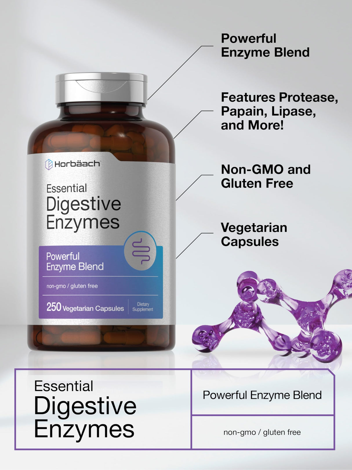 Horbäach Essential Digestive Enzymes | 250 Capsules | Powerful Enzyme Blend for Men & Women | Non-GMO & Gluten Free Supplement