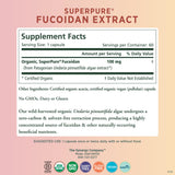 PURE SYNERGY SuperPure Fucoidan Extract | Gluten-Free Fucoidan from Organic Brown Seaweed | for Immune Health, Digestion, and Healthy Aging (60 Capsules)