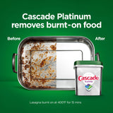 Platinum ActionPacs Detergent