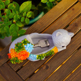 Fashionoda Outdoor Cat Key Hider Statue - Cute Succulent Hide a Key Outdoor Decorative - Small Gift Box for Women, Home Decor & Cat Gifts