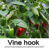 DAMEING Plant Climbing Hooks, Tomato Support J Hook Garden Hooks to Prevent Tomatoes from Pinching or Falling Off (20Pcs)