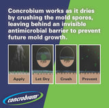 Concrobium 25001CAL Mold Control, 1 Gallon