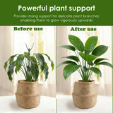 Stackable Monstera Moss Pole, 10 PCS Natural Coir Plant Support Stakes.