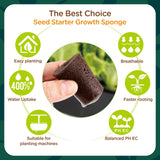 Hapxalie 70 Count Hydroponic Grow Sponges, Pre-Drilled Seed Starter Plugs
