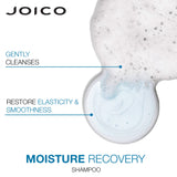 Joico Moisture Recovery Moisturizing Shampoo & Conditioner Set | Replenish Loss Moisture | For Thick & Coarse & Dry Hair