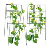 AGTEK 2 Packs 18" x 46" Foldable Cucumber Trellis for Cucumber, Climbing Plants, Vegetable Flowers