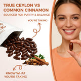 LIRAE Ceylon Cinnamon Ceylon Cinnamon Soft Gels Equivalent with Mct Oil, Highly Bioavailable Herbal Extract | Non-GMO, Gluten Free | 300 Softgel (3)