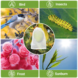 ENPOINT Fruit Bags for Fruit Trees, 100 PCS 6x10 Inch Fruit Protection Bags with Drawstring, Garden Netting Mesh Fruit Cover Bag for Grape, Tomato, Peach, Apple, Flower from Birds Bugs