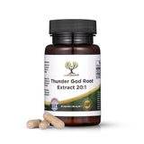 Thunder God Vine Root 20:1 Supplement – Tripterygium Wilfordii Herbal Supplement – 200mg Capsules with Lei Gong Teng Extract – Thunder God Vine Extract with Triptolide – 90 Capsules