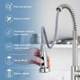 DJS Kitchen Faucets with Pull Down Sprayer Brushed Nickel -Single Handle 1 or 3 Holes Spring Kitchen Sink Faucet with Deck Plate for Farmhouse RV Vessel Basin