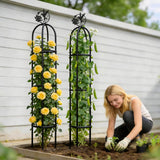 Elegant Outdoor Garden Trellis for Climbing Plants with Premium 100% Metal