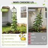 Garden Obelisk Trellis for Climbing Plants Outdoor, 6.2 FT Tomato Cage, Rose, Flowers, Grape, Pea, Cucumber Trellis, Rustproof Plastic Coated Metal Plant Support Trellis for Potted Plants (2 Pack)