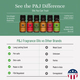 P&J Fragrance Oil Christmas Set | Christmas Wreath, Mistletoe, Candy Cane, Gingerbread, Cinnamon, and Cranberry Candle Scents, Freshie Scents, Candle/Soap Making Supplies