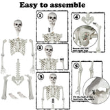 5.9ft Halloween Life Size Skeleton Realistic Full Body Skeletons Plastic Human Bones with Movable Joints for Halloween Props Spooky Party Decoration