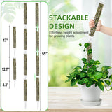 Fabulas 55 Inch Moss Pole Monstera Plant Support, 4 Pack 17 Inch Plant Support Stakes for Indoor Climbing Plants, Stackable Sphagnum Moss Pole Sticks for Garden Potted Planter, Pothos, Philodendron