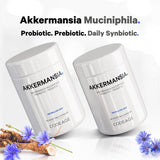 Codeage Akkermansia Muciniphila Probiotic Supplement - 3-Month Supply of Akkermansia Probiotic & Chicory Inulin - Daily Synbiotic Probiotic Chicory Root - 100 Million AFUs - Gluten-Free - 90 Capsules