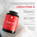 Neurogan Urolithin A Supplement Capsules - 700mg, 60 Ct - High-Potency Cellular Health, Postbiotic Compound- Sourced from Pomegranate Extract, Made in USA, Take 1 Daily