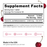 EZ Melts B12 Sublingual Vitamin 2,500 mcg, Methylcobalamin, Sugar-Free, 3-Month Supply