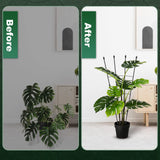 Antizz 47in Garden Trellis for Potted Climbing Plants Outdoor Indoor