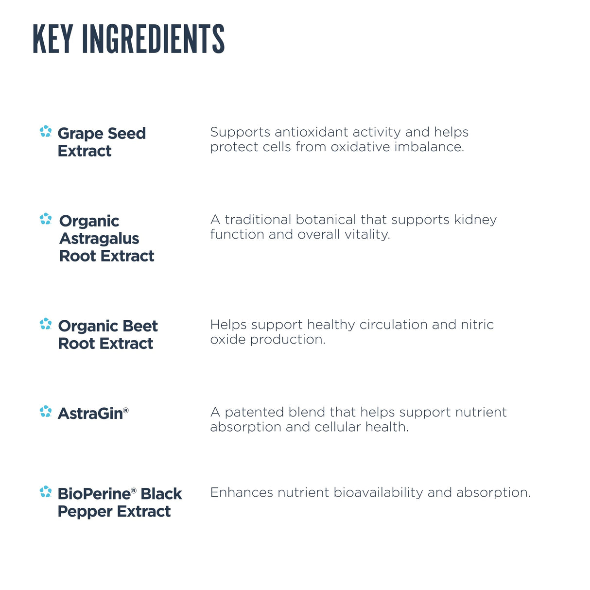 Revive MD Kidney Support Supplement for Men & Women - Kidney Cleanse Detox & Repair Capsules Support Overall Health & Function - Vegan-Friendly, Gluten-Free, & Soy-Free (135 Vegetarian Capsules)