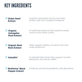 Revive MD Kidney Support Supplement for Men & Women - Kidney Cleanse Detox & Repair Capsules Support Overall Health & Function - Vegan-Friendly, Gluten-Free, & Soy-Free (135 Vegetarian Capsules)