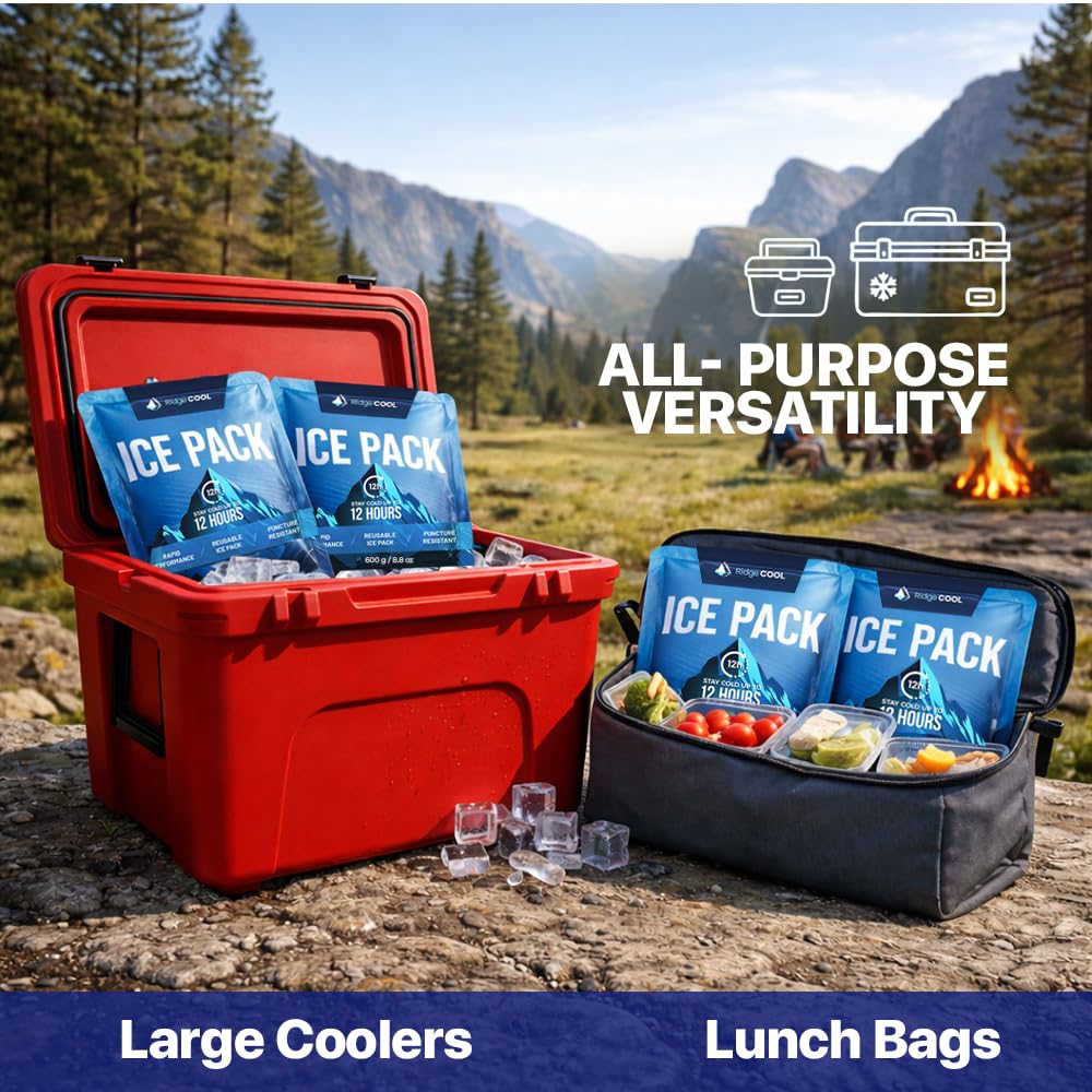 RIDGECOOL 4 Pack Large Reusable Ice Packs for Coolers, Long Lasting Freezer Packs for Cooler Bags and Insulated Totes, Leakproof, BPA-Free, Food Safe