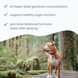 Bark & Whiskers Female Glandular Support, 4 Oz. (113 g), 75 Scoops, Supports Healthy Hormone and Organ Function, Veterinarian Formulated, Non-GMO, Dr. Mercola