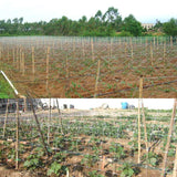 HHTHH White Trellis Netting 5x100 ft Heavy Duty Garden Trellis Netting Polypropylene Plant Support Garden Net for Climbing Vegetables Fruits Flowers