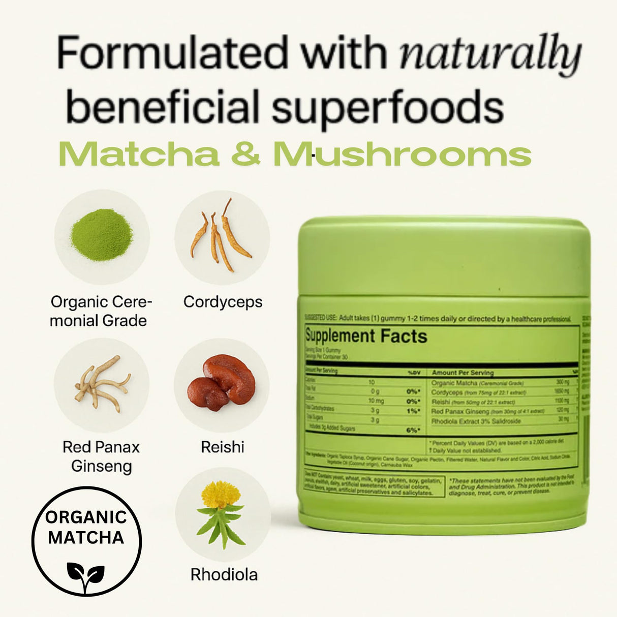 Motiv- Organic Matcha & Mushrooms Energy Gummies | 300 MG Concentrate Matcha Green Tea + Mushroom Blend | Improve Brain Function, Immune Support, Gut Health, Reduce Stress - Vegan, Non-GMO