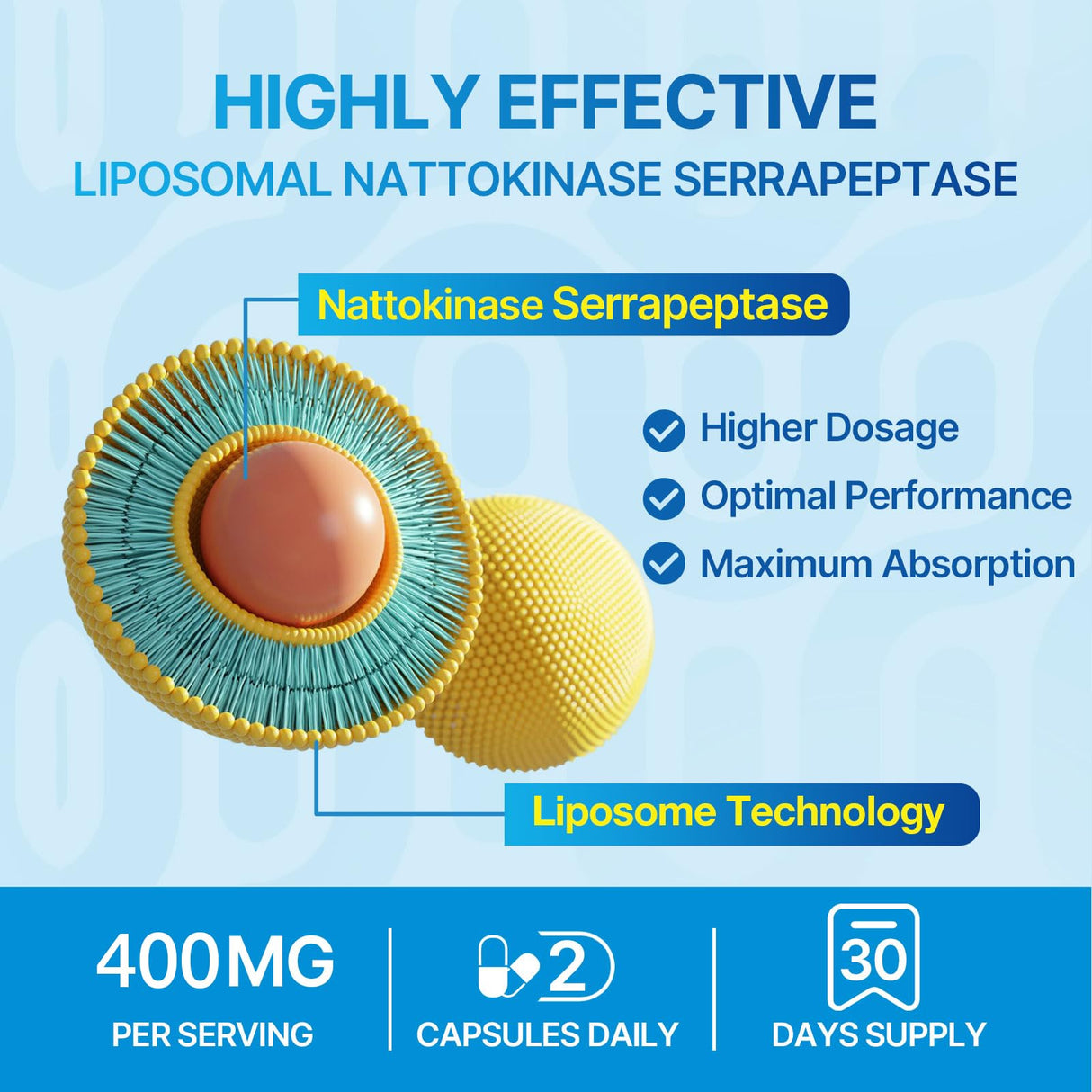 Liposomal Nattokinase 12,000 FU Serrapeptase 360,000 SPU Enzyme Supplement - Enriched with Synergistic Enzymes and Nutrient Blend & Inulin for Circulatory, Gut, Digestion 60 Capsules (2 Bottle)