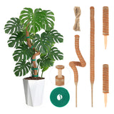 28'' Bendable Moss Poles & 12'' Stackable Coir Plant Sticks for Monstera