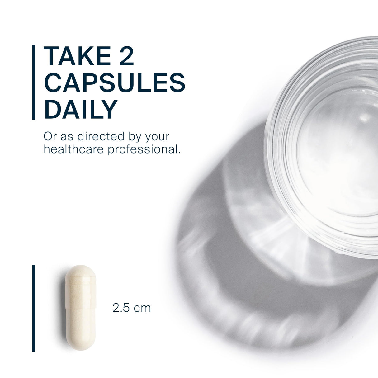 Vital Nutrients - Schisandra Extract - Liver, Immune, Energy, and Endurance Support - 90 Vegetarian Capsules per Bottle - 1000 mg