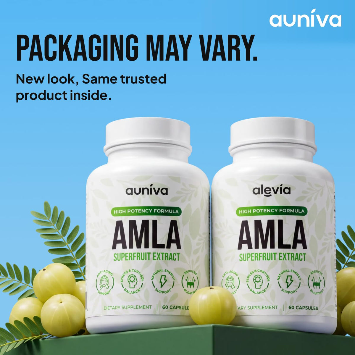 auniva Amla Capsules 1000mg – Indian Gooseberry Amla Fruit Supplement – Amla Powder for Antioxidant, Energy & Digestive Support – Ayurvedic Wellness Formula – 60 Capsules