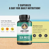 Ancient Bliss Organic Irish Sea Moss Pills - Dr Sebi Wildcrafted Seamoss Capsules | Thyroid, Healthy Skin & Gut Support | 120 Capsules